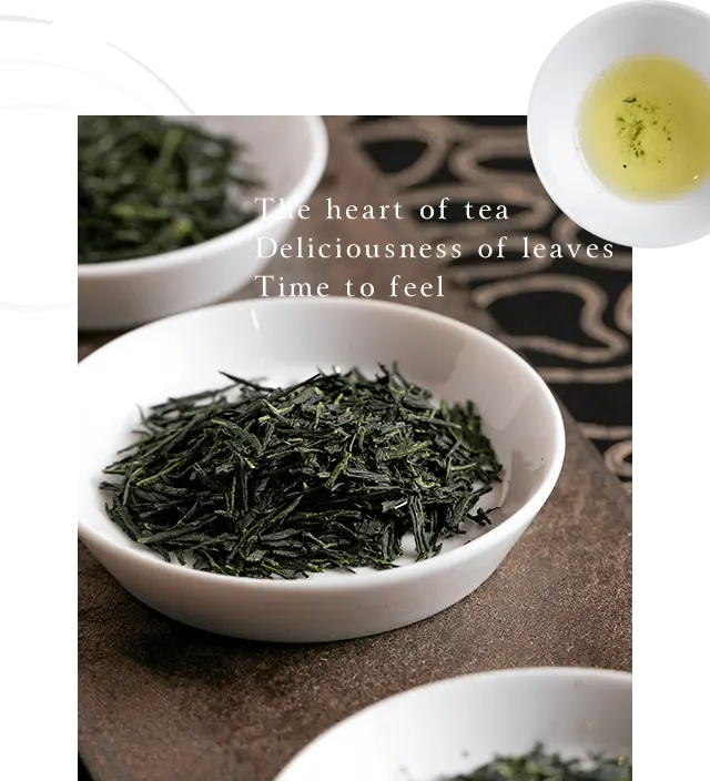 日本茶を淹れる